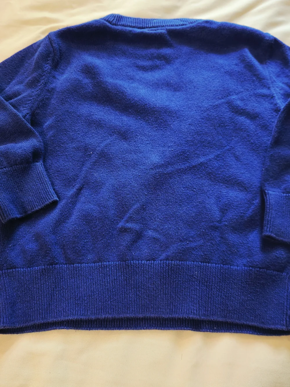 GAP Blue Crewneck Sweater with Green and Cream Dinosaur Intarsia
